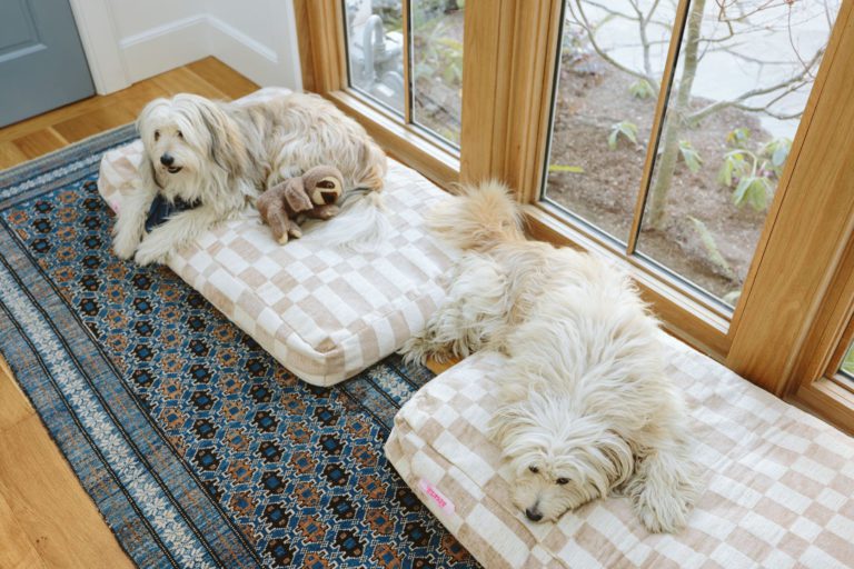 8 Not Ugly Dog Beds (And The Affordable One I Love Having In My Home)